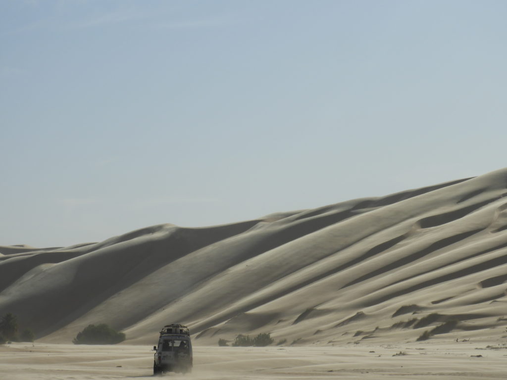 RAID NÉGA (MAURITANIE)