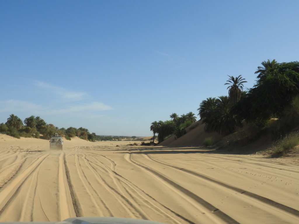 RAID NÉGA (MAURITANIE)